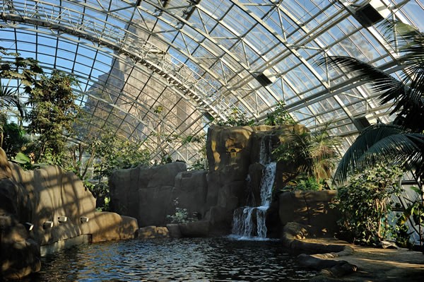Paris Zoo