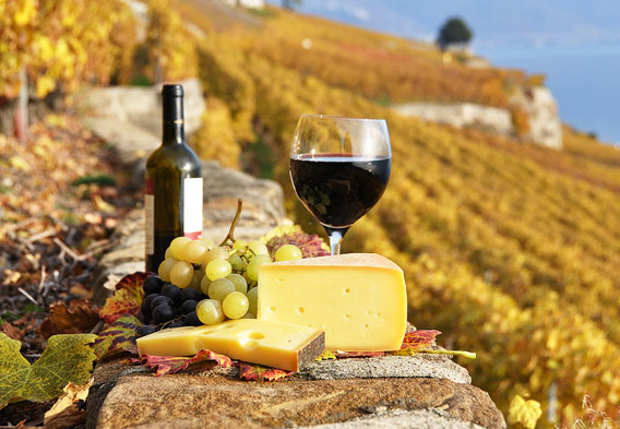 Wine Tours in Tuscany - All Luxury Apartments