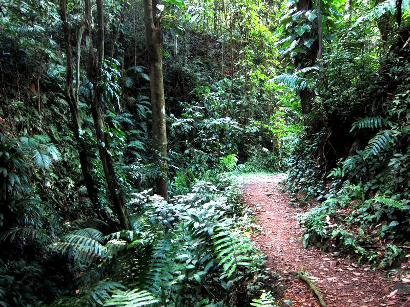 Hiking in Koh Samui - All Luxury Apartments