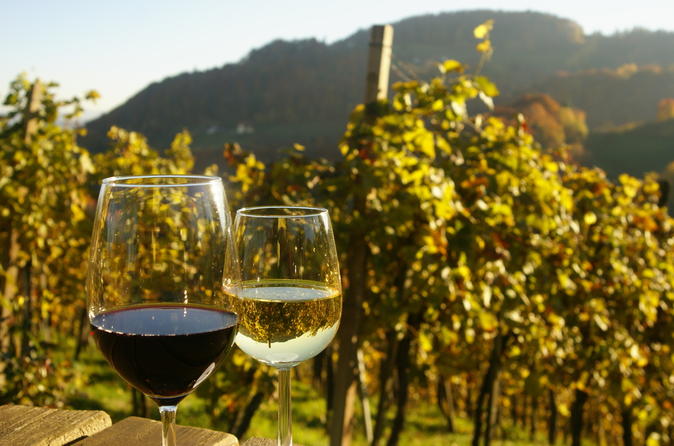 Viennese Wines - All Luxury Apartments