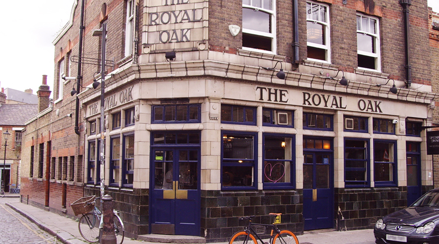 Royal oak