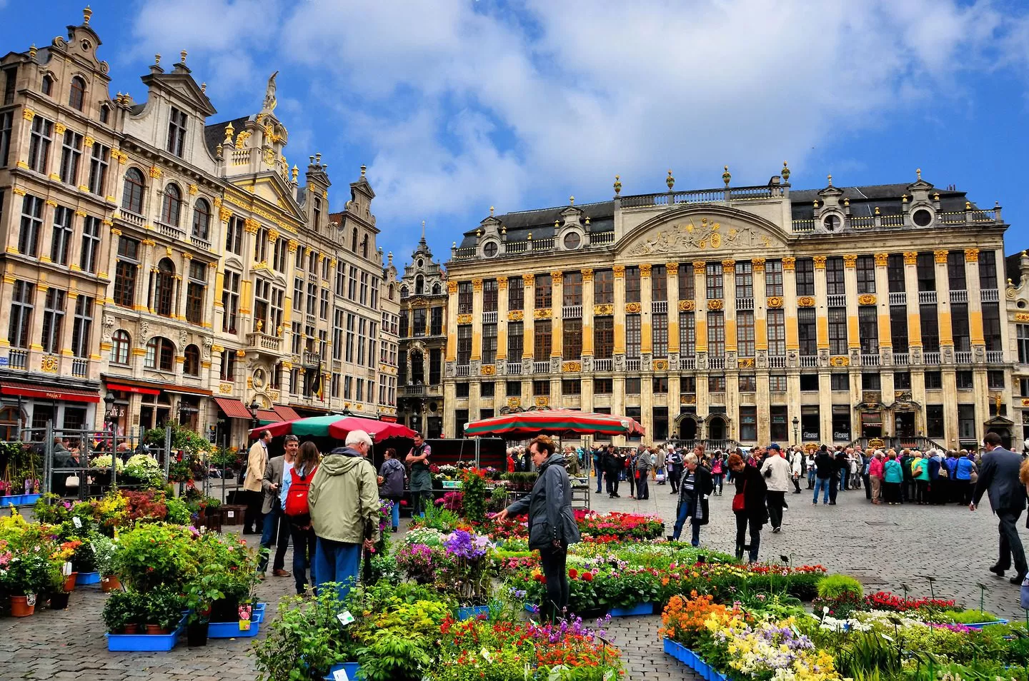 What to do in Brussels in spring