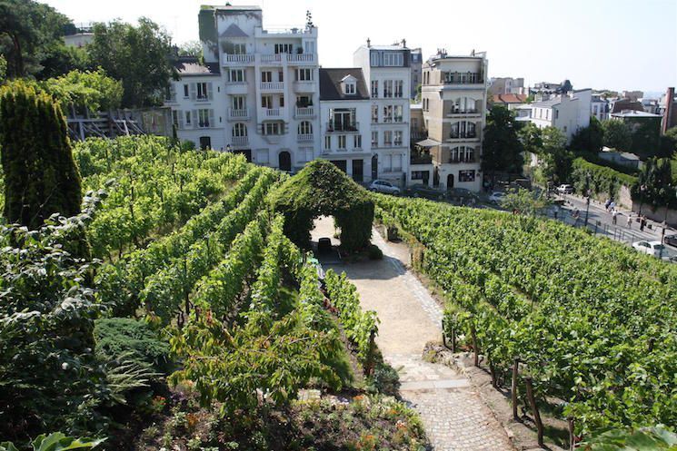 Things to do in Paris in October