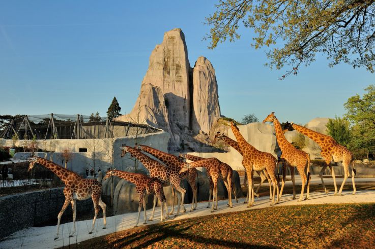 Boo! Spooky places to spend Halloween in Paris