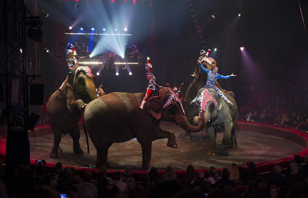 Where to Catch The Best Circus in Paris