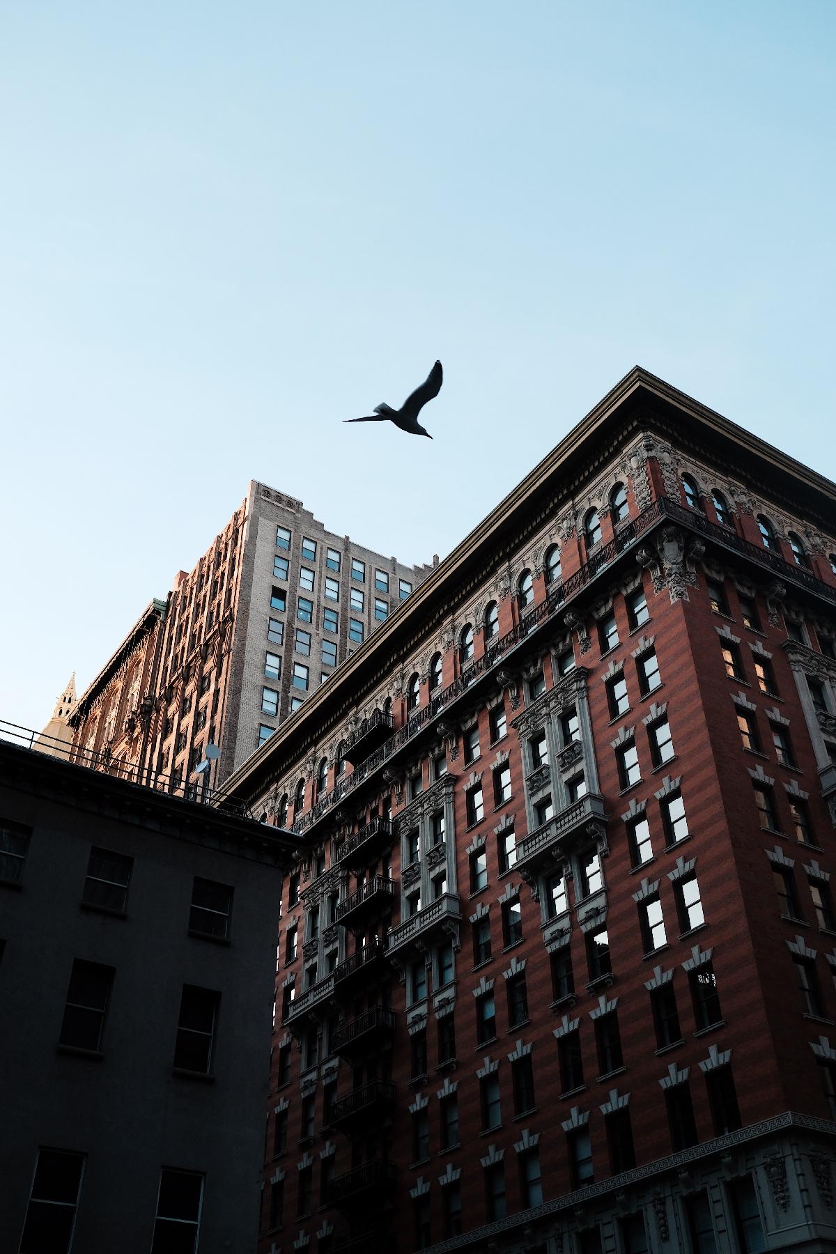 9th Day of Christmas Holiday Gift Guide: All Luxury New York