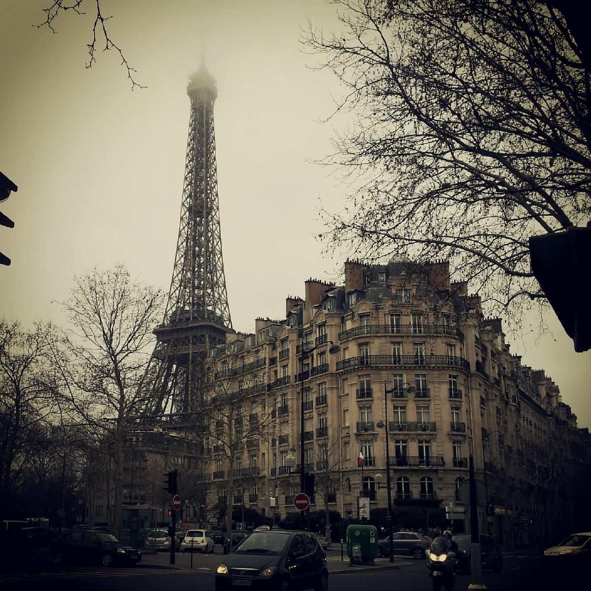 All Luxury Paris: A Guide to Where to Live for Newcomers