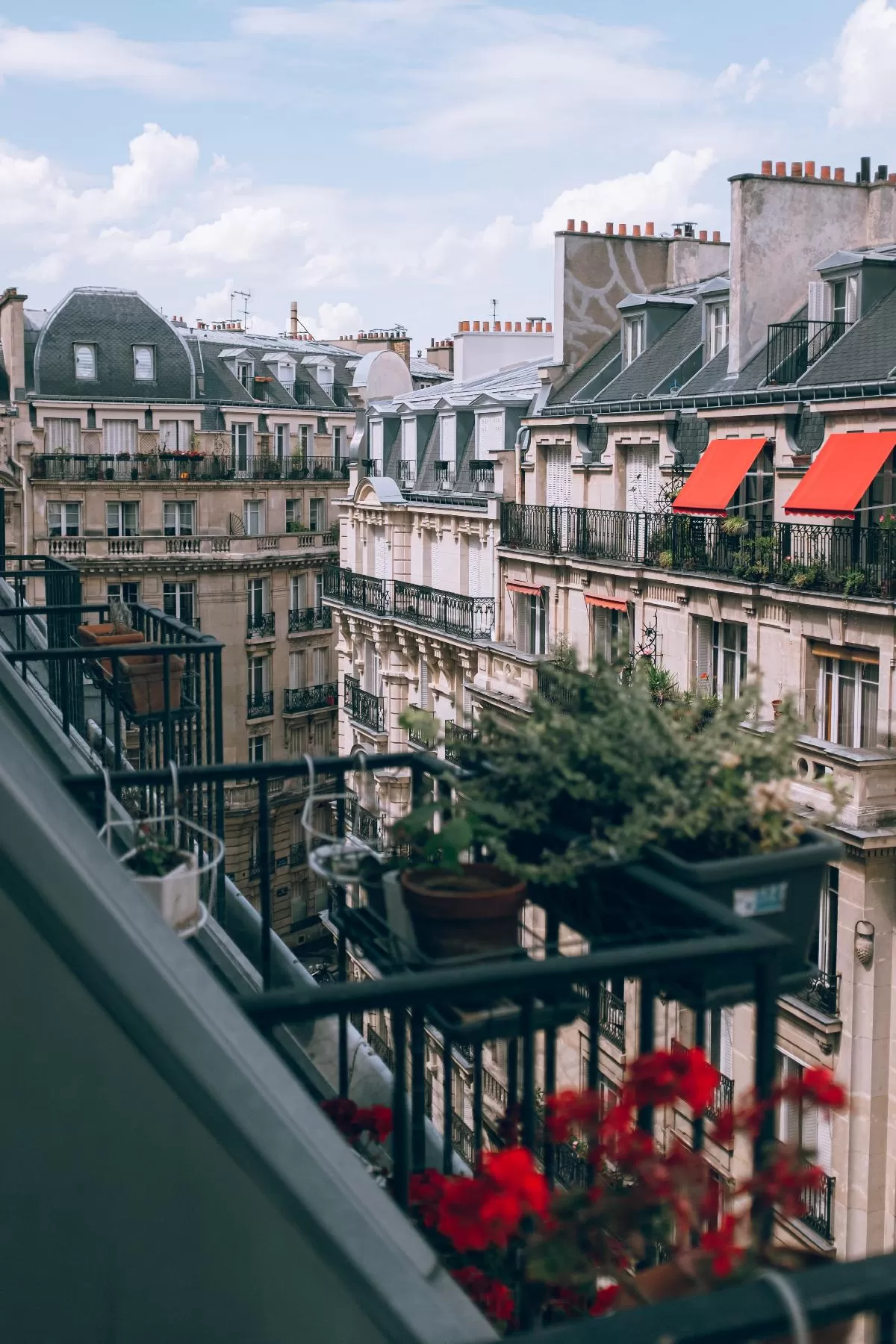 ALX Guide: The 4th Arrondissement of Paris