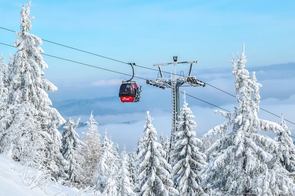 12 Things You Can Do in Whistler, Canada Apart from Skiing