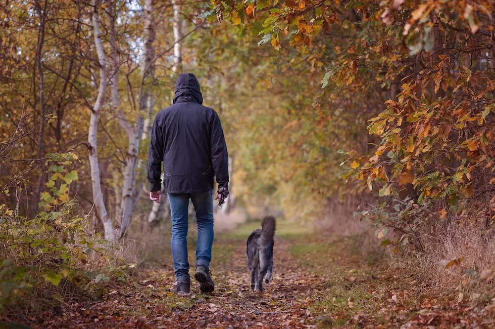 Doggone World: Best Places in London To Walk Your Dog