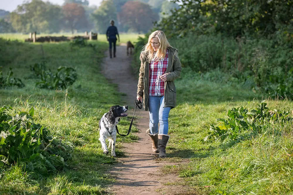 Doggone World: Best Places in London To Walk Your Dog