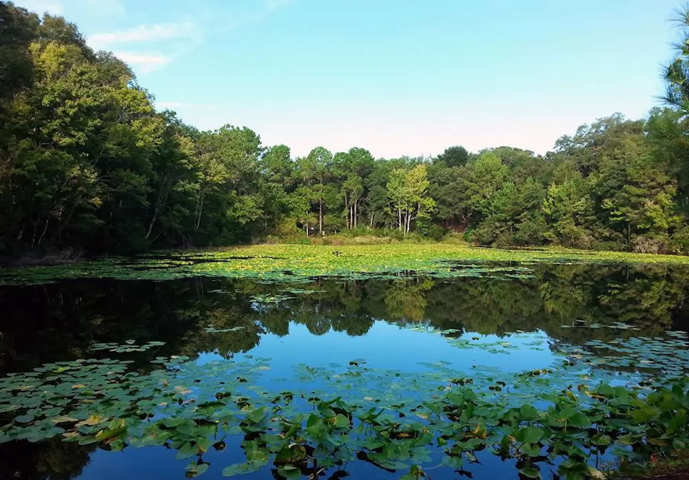 10 Nature-Bound Places in Jacksonville, Florida For Adventurers