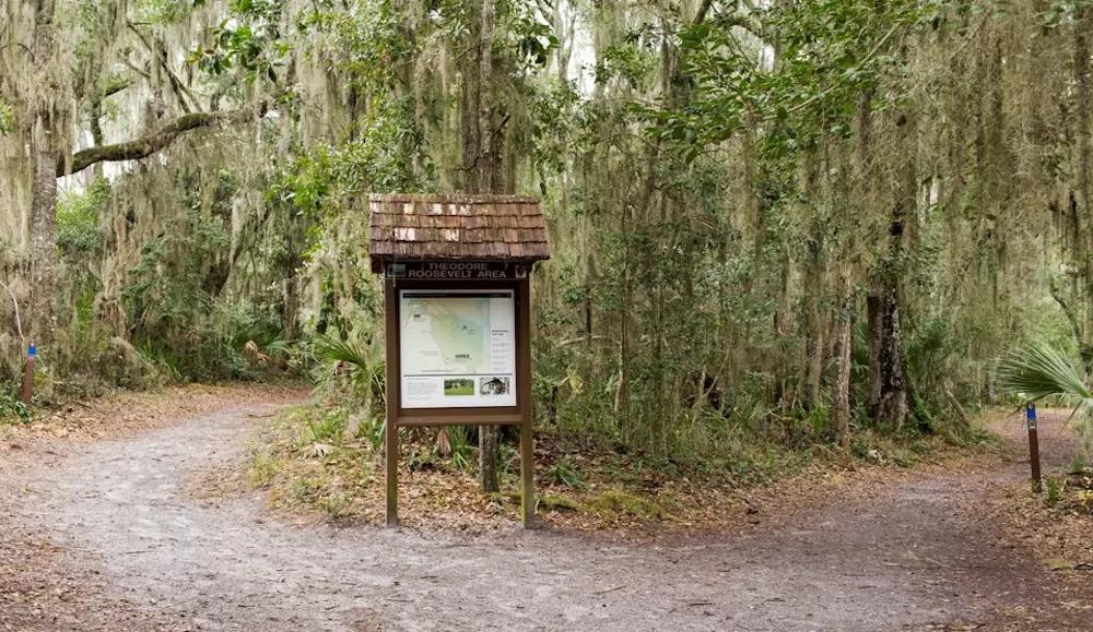 10 Nature-Bound Places in Jacksonville, Florida For Adventurers