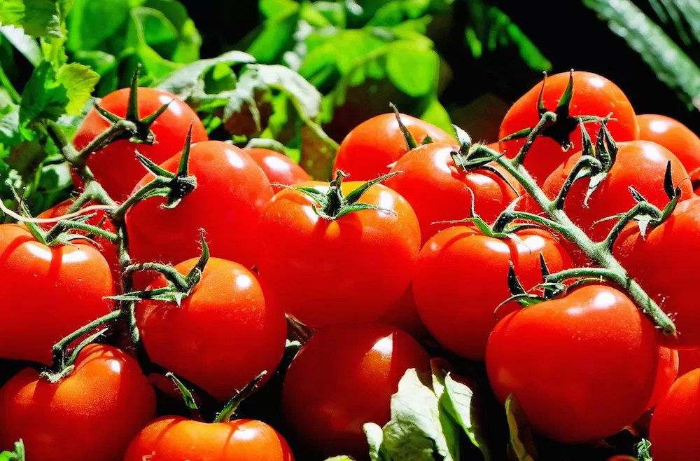 Easiest Fruits and Vegetables to Garden at Home