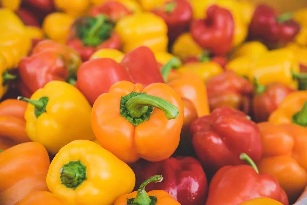 Easiest Fruits and Vegetables to Garden at Home