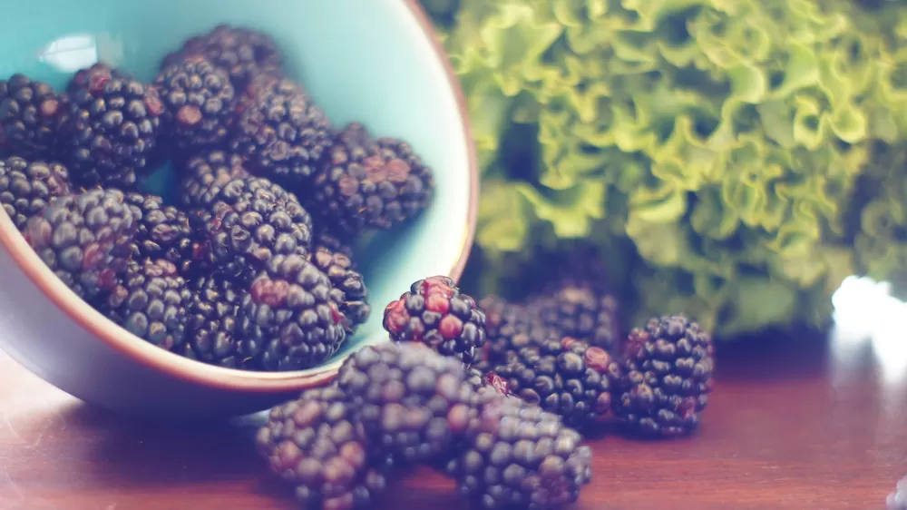Easiest Fruits and Vegetables to Garden at Home