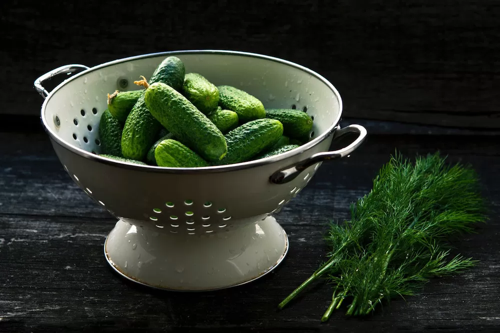 Easiest Fruits and Vegetables to Garden at Home
