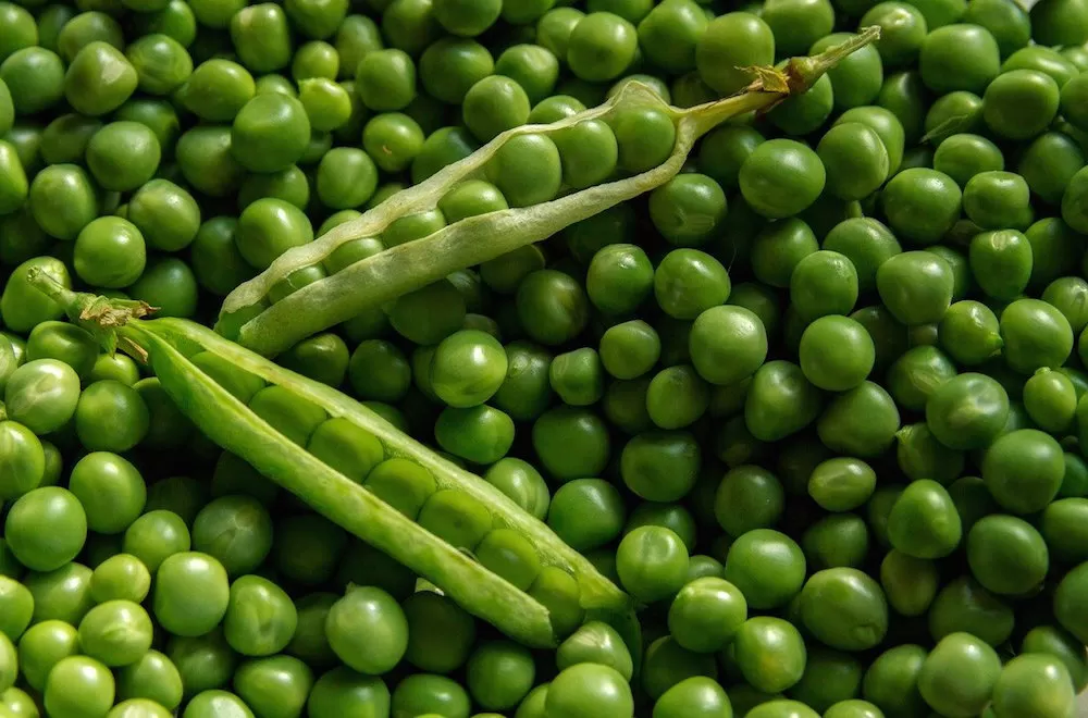 Easiest Fruits and Vegetables to Garden at Home