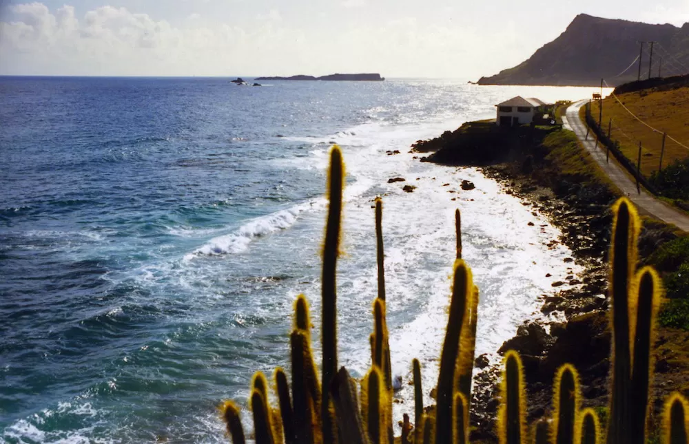 Ultimate Saint Barthelemy Guide by Neighborhood