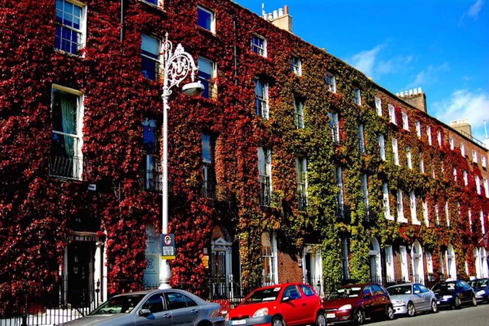 Ultimate Dublin Guide by Neighborhood