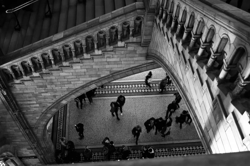 The Top Universities Near & In London
