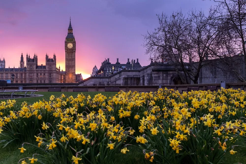 London's Finest Public, Private and Pediatric Hospitals