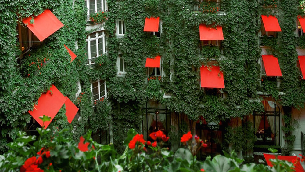 Top Parisian Restaurants with Beautiful Terraces