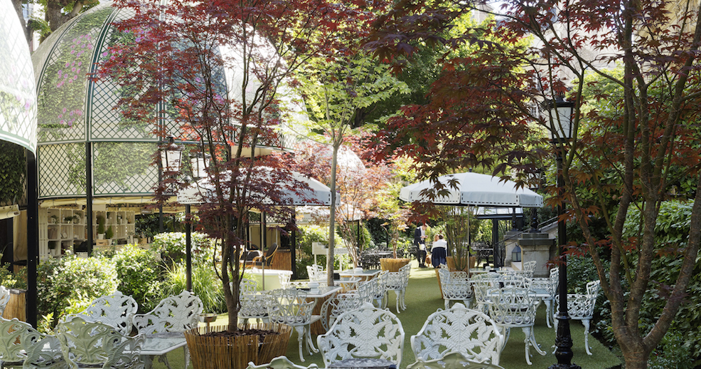 Top Parisian Restaurants with Beautiful Terraces