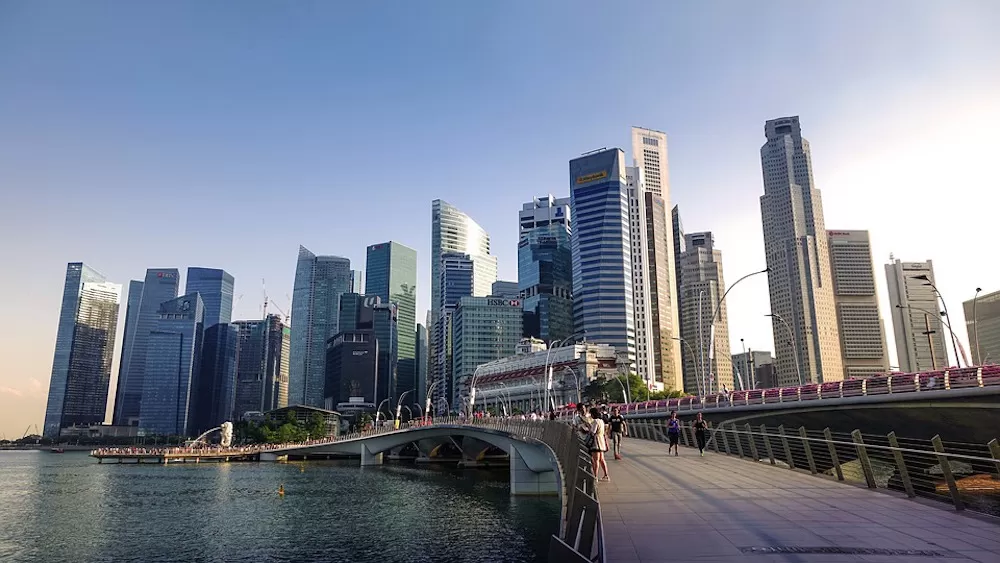 Understanding Public Transport in Singapore