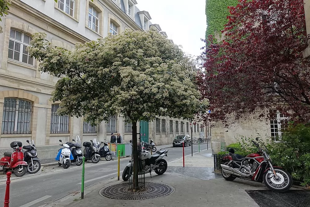 Paris' Le Marais: Good Reasons to Live Here