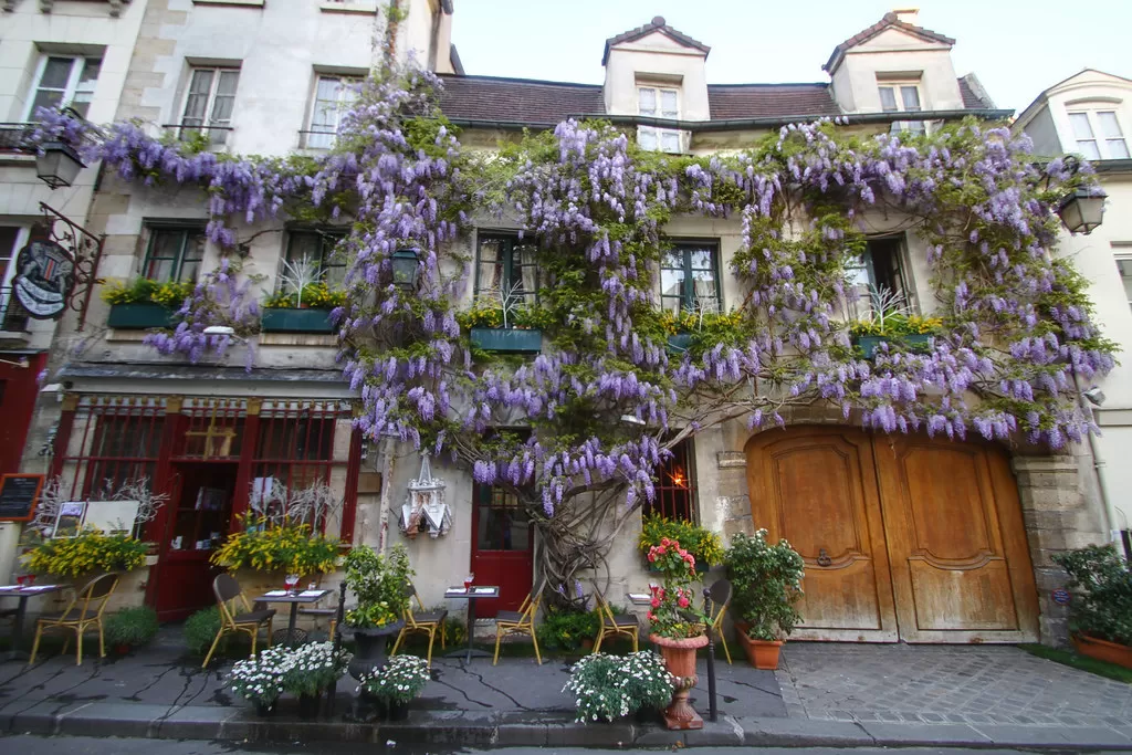 The Parisian Charms of Ile de la Cité