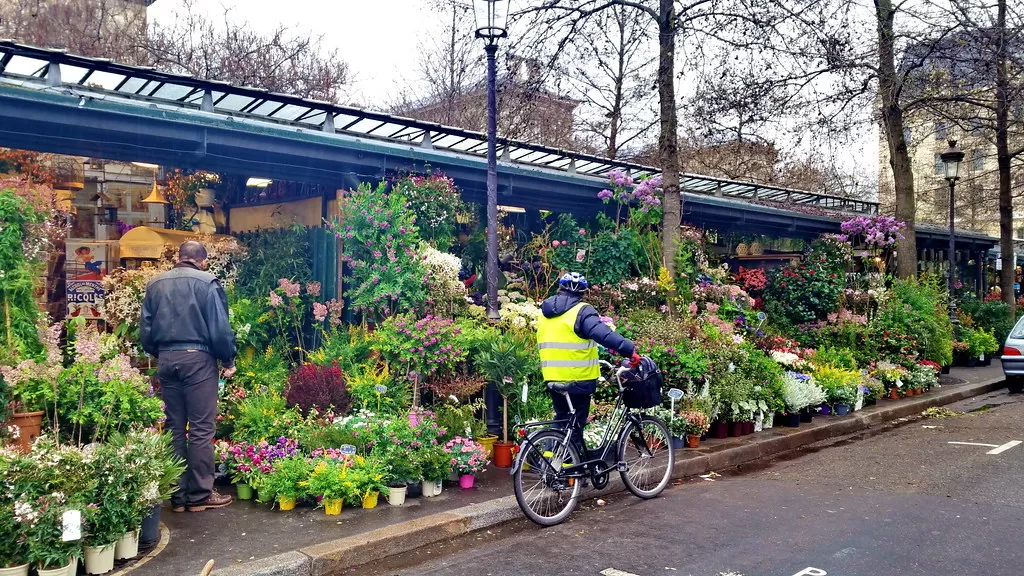 The Parisian Charms of Ile de la Cité