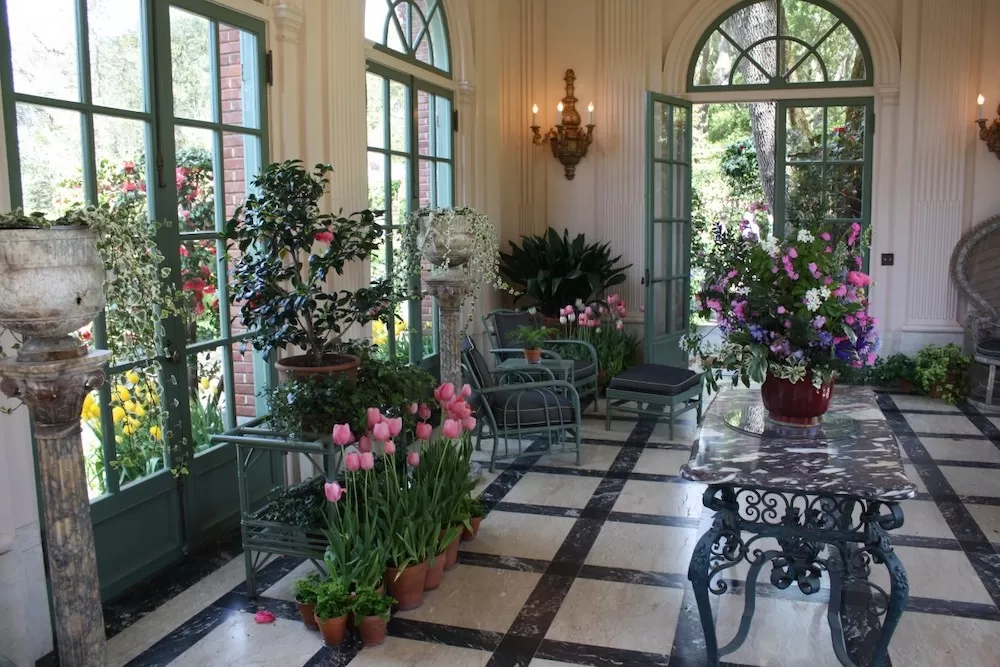 How to Put Plants in Your Home When You Have Kids