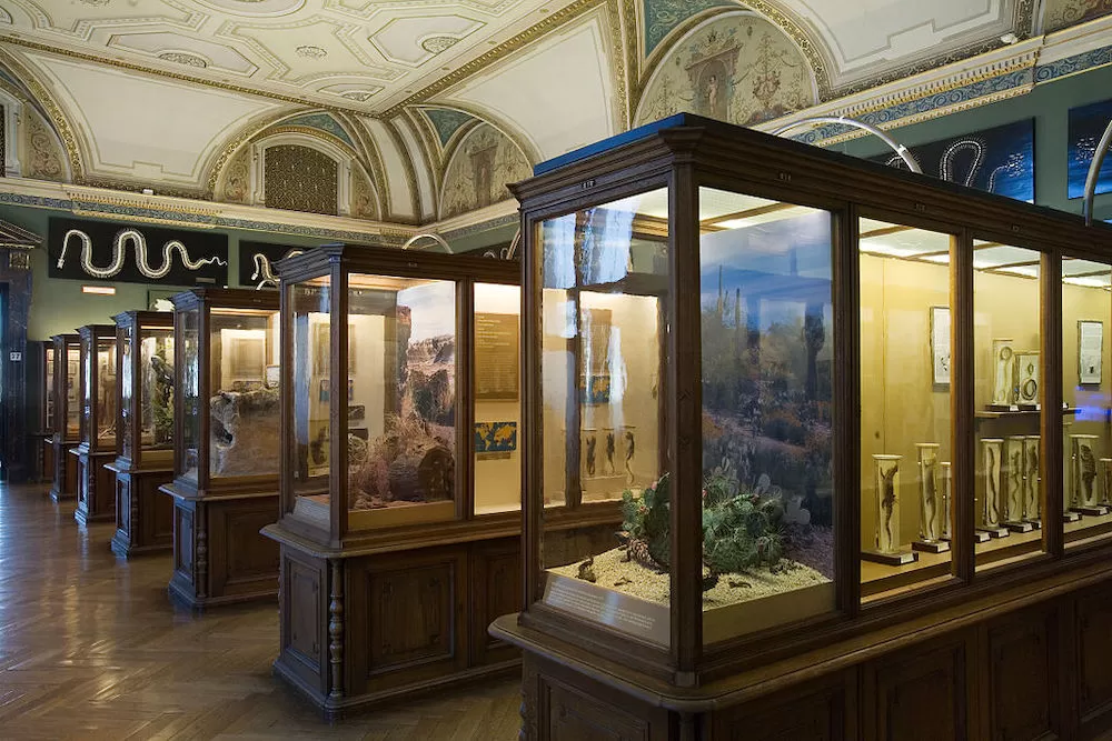 Take a Virtual Museum Tour of Vienna