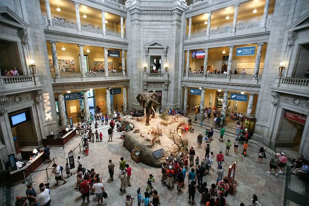 Take a Virtual Museum Tour of Washington D.C.