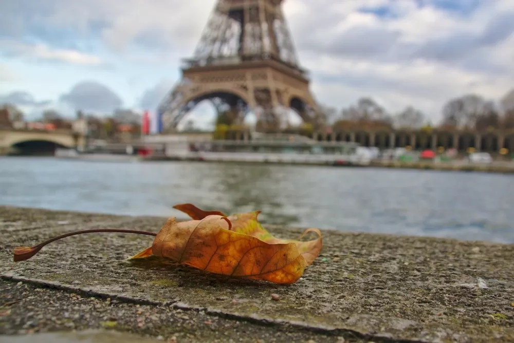 ALX Guide: The 7th Arrondissement of Paris