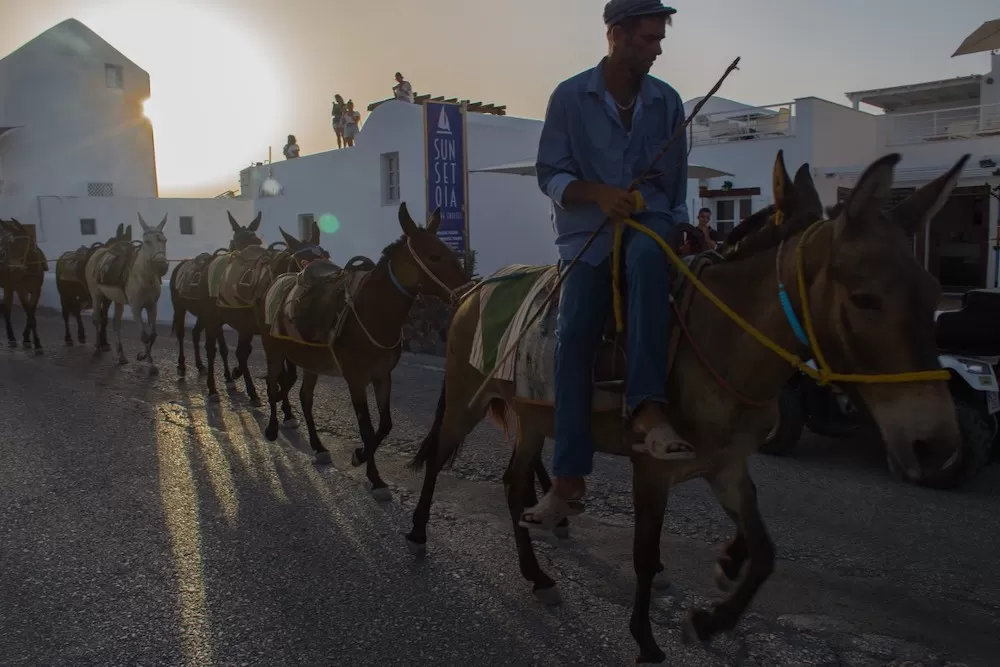 All About Public Transport in Mykonos