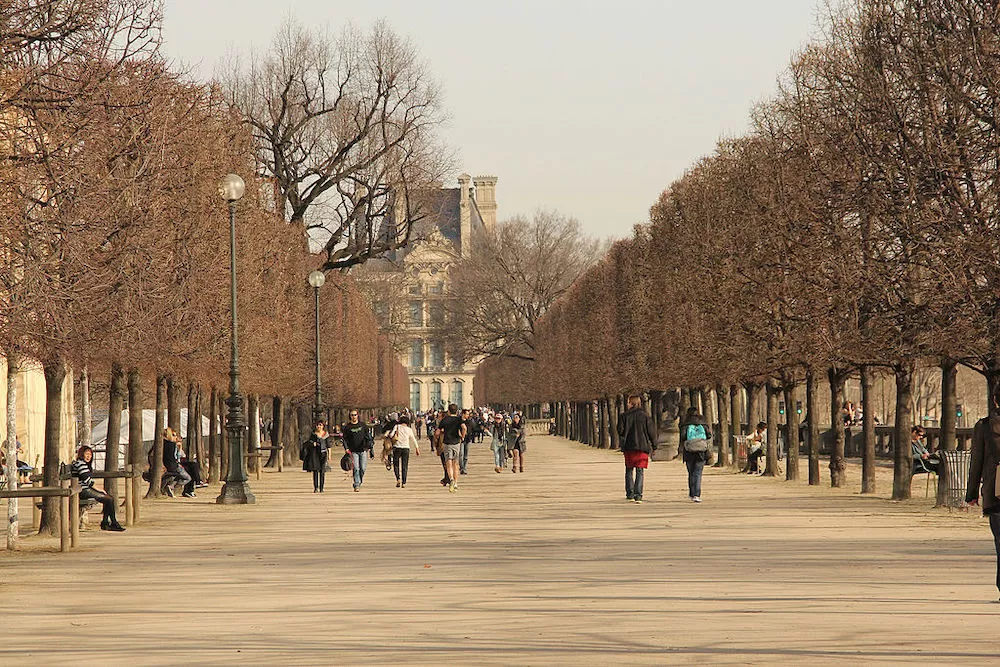 Exercising in Jardin des Tuileries: What You Can Do