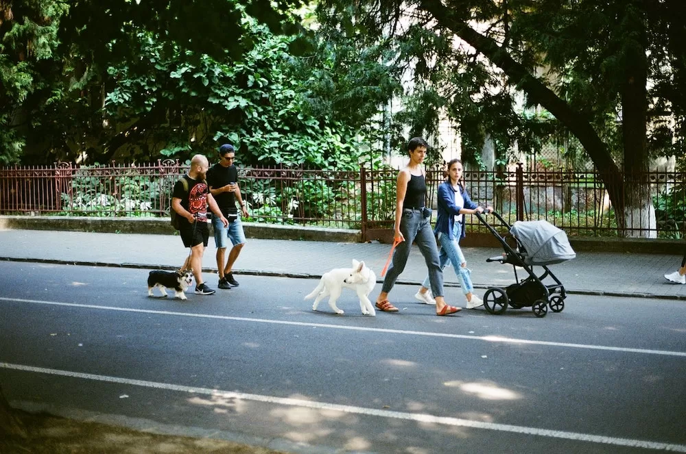 Paris' Best Parks to Walk Your Dog