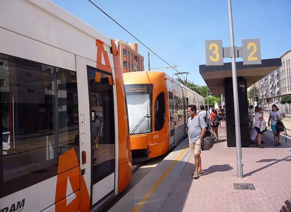 All About Alicante's Public Transport