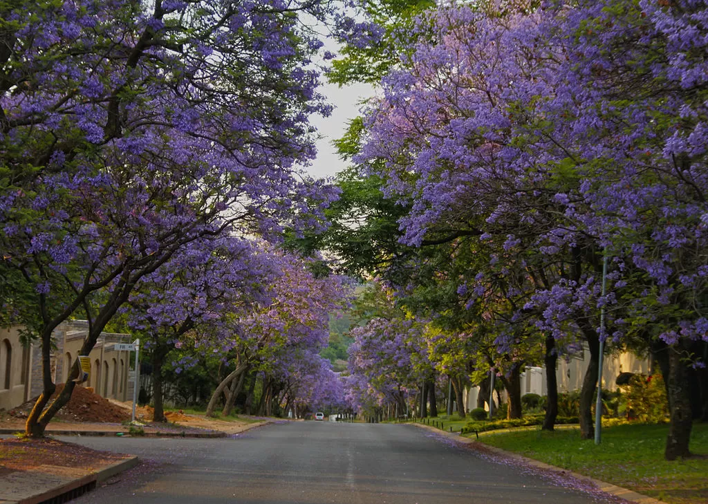 What To Expect in Mexico During Spring