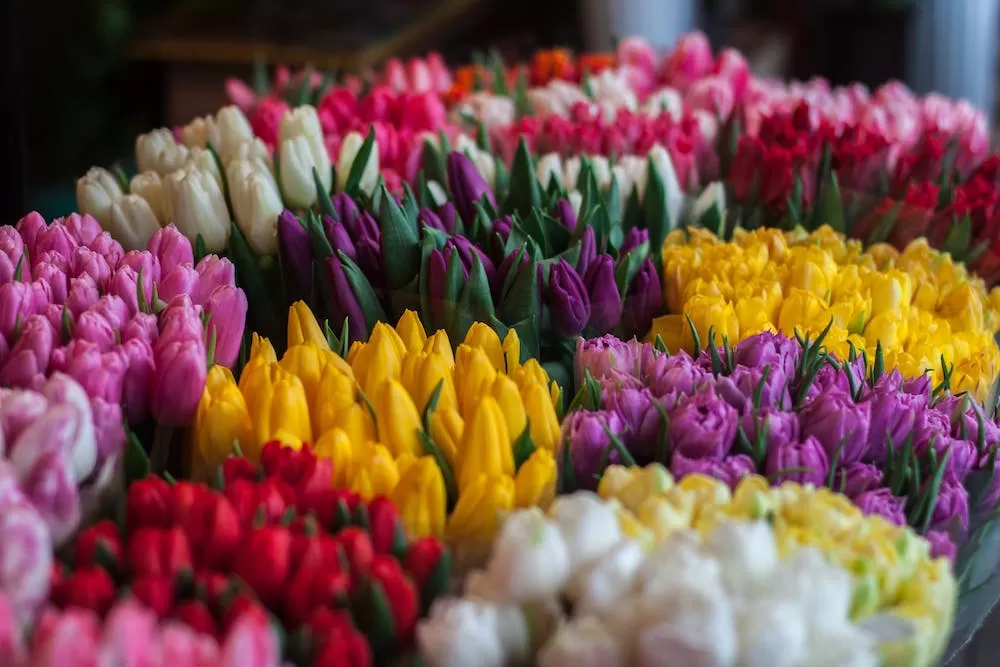 The Dutch Way Of Celebrating Mother's Day