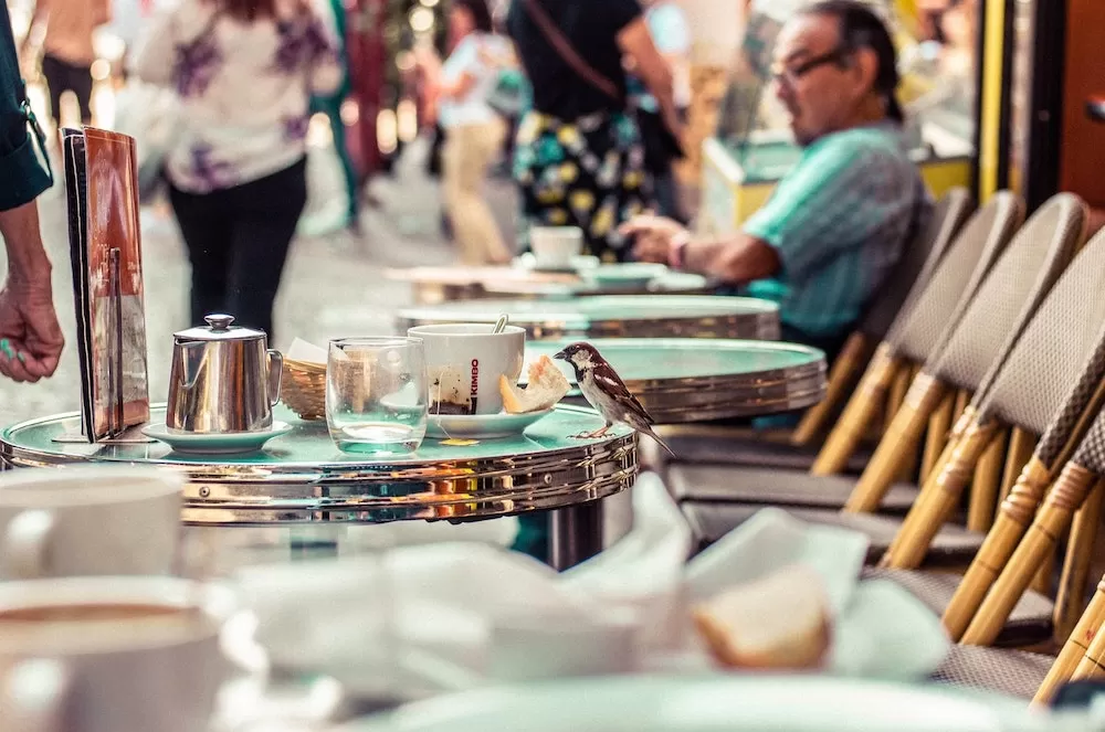 Where To Get Good Coffee in Montmartre