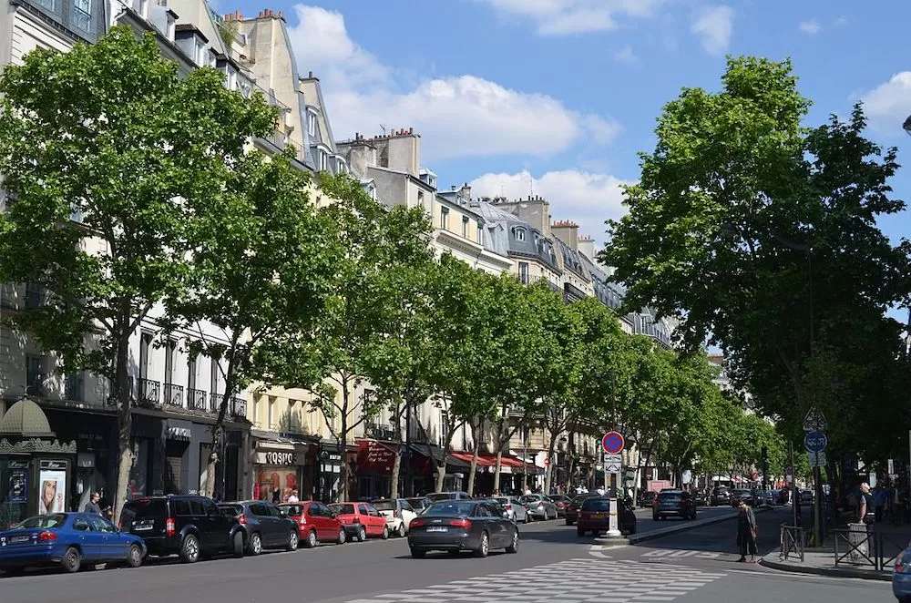 Where to Live in Paris As A Solo Traveler