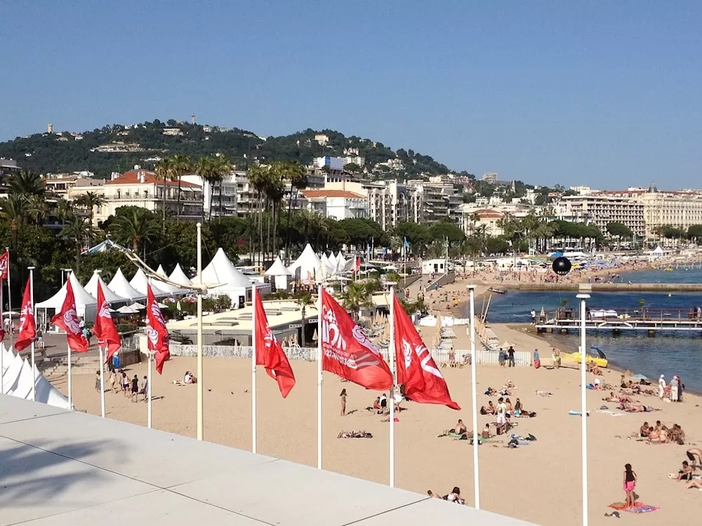 Introducing the Cannes Film Festival 2021