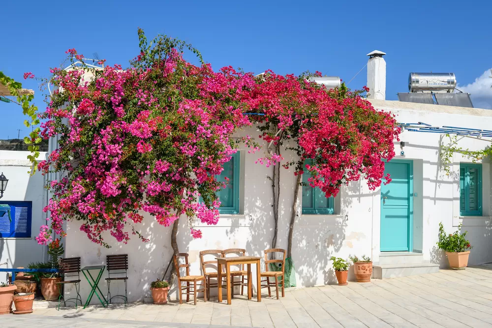 The Top Instagrammable Spots in Paros