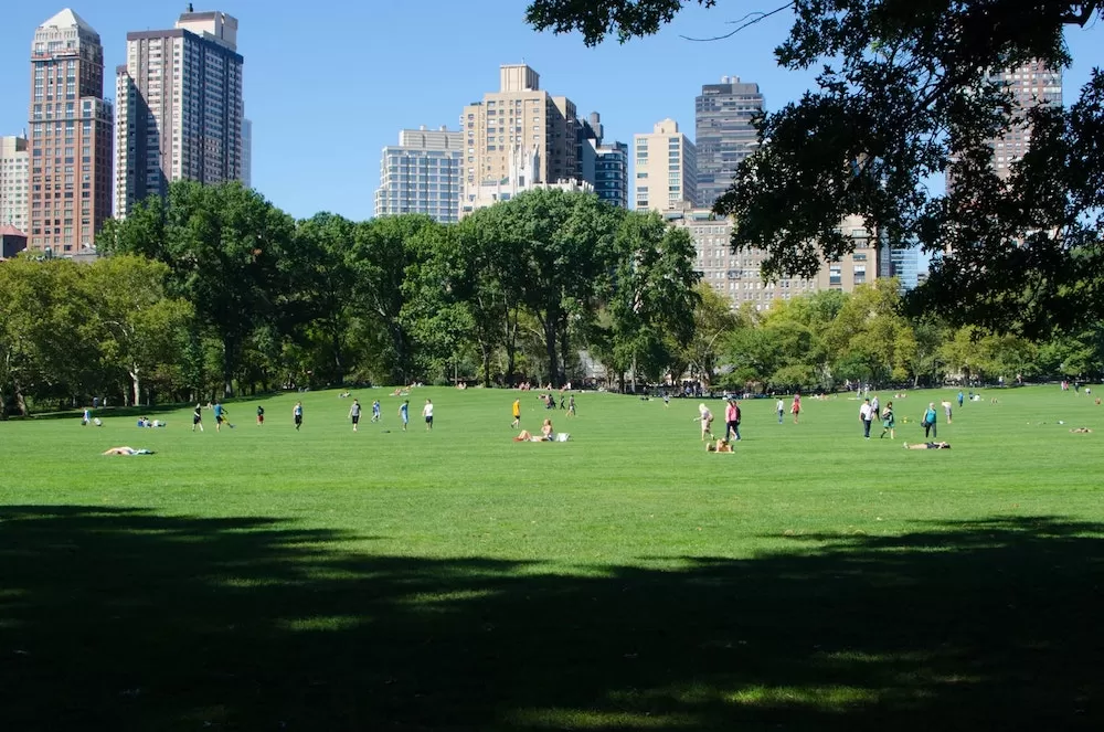 Top Tips for Visiting Central Park