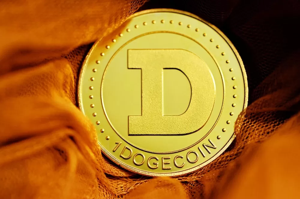 What Dogecoin Cryptocurrency is All About