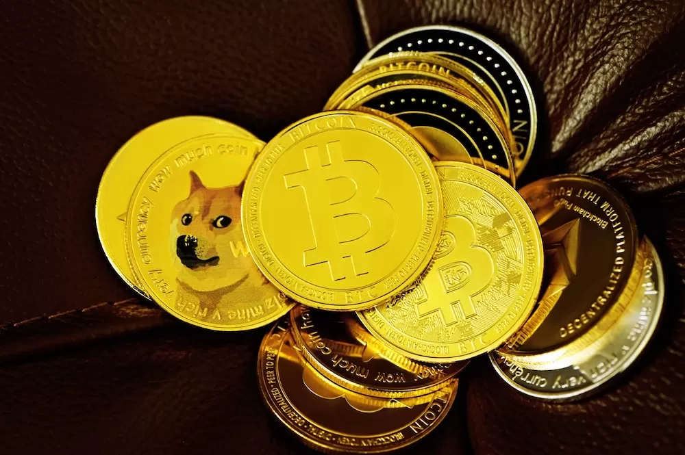 What Dogecoin Cryptocurrency is All About