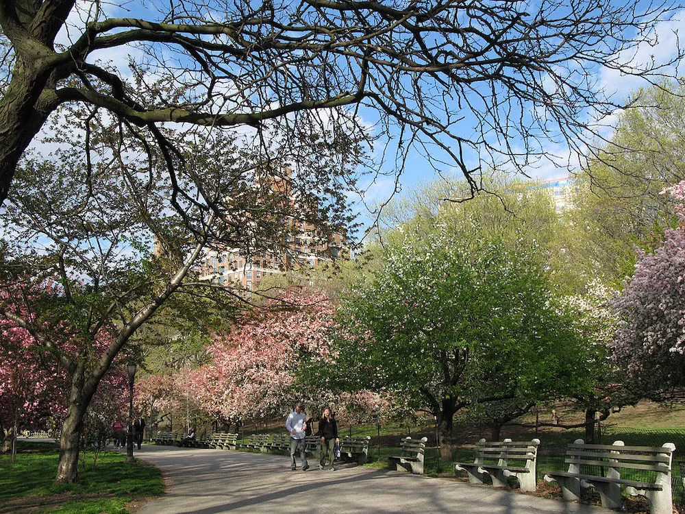 Must-See Parks in New York City Other Than Central Park